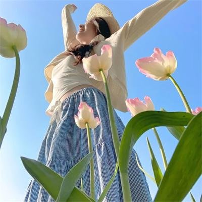 双面骗子虚假警察第一季
